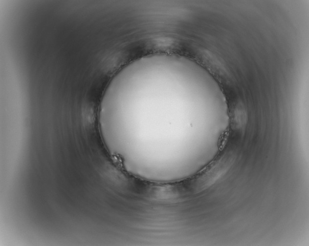X0000111880472200907301141