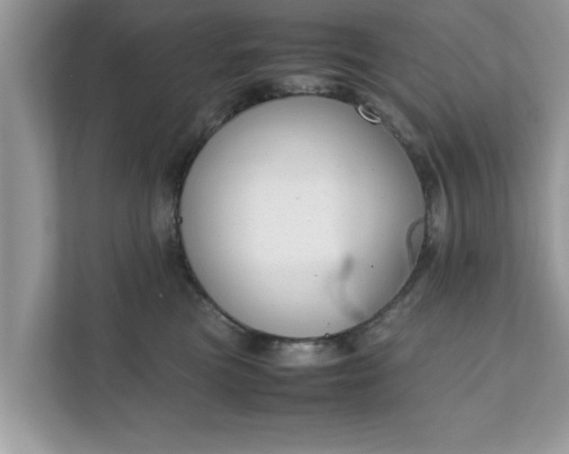 X0000111880473200907301141