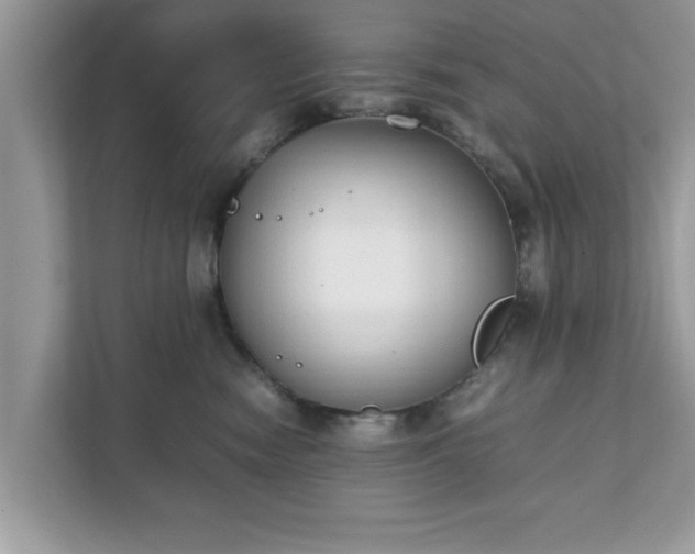 X0000111880474200907301141