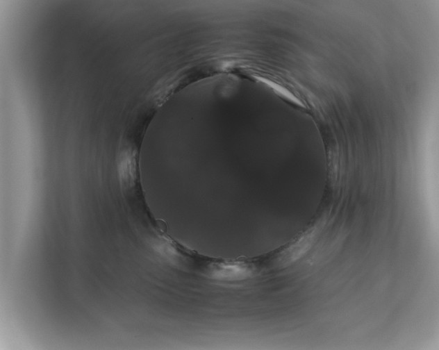 X0000111880475200907301141