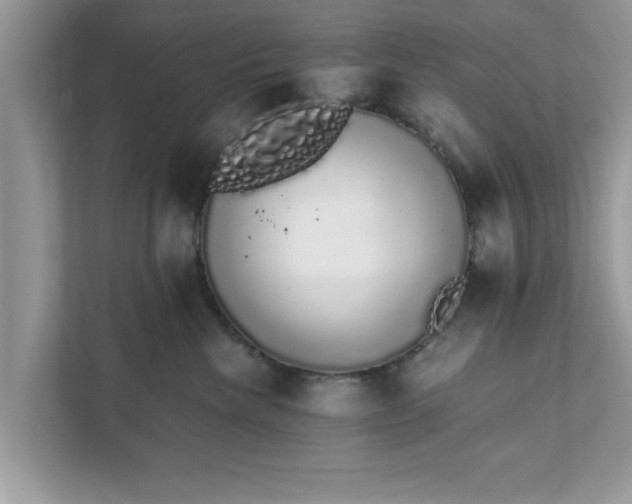 X0000111880476200907301141