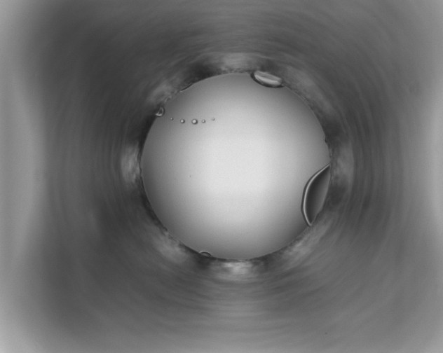 X0000111880478200907301141