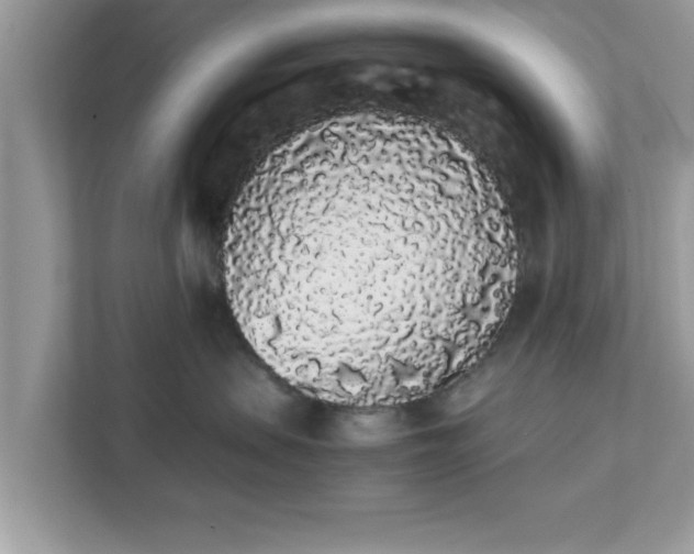 X0000111880479200907301141