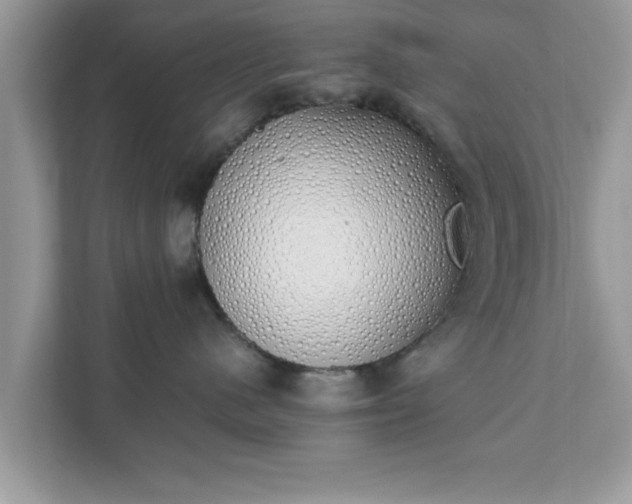 X0000111880480200907301141