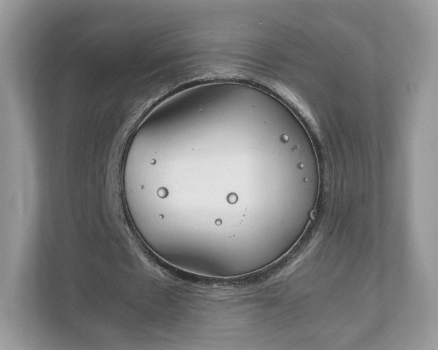 X0000111880481200907301140