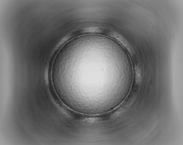 X0000111880482200907301140