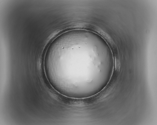 X0000111880483200907301140