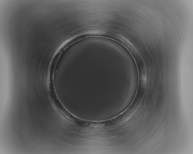 X0000111880484200907301140