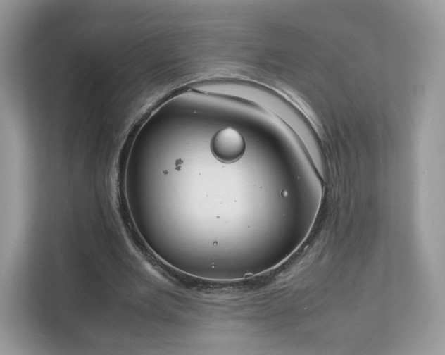 X0000111880485200907301140