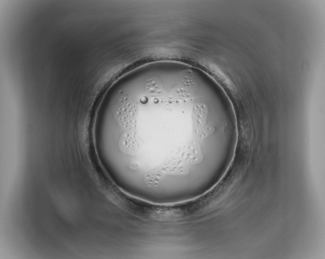 X0000111880487200907301140