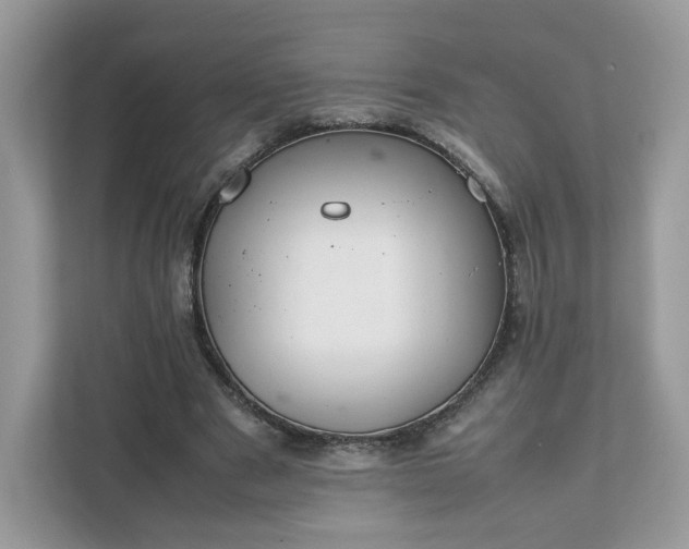 X0000111880489200907301140