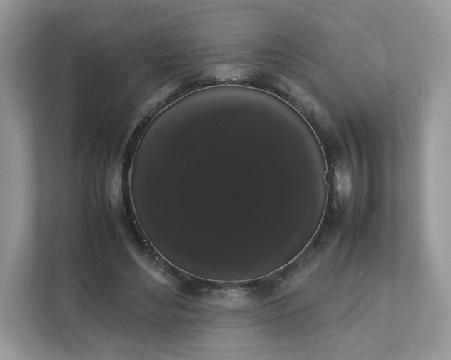 X0000111880492200907301140