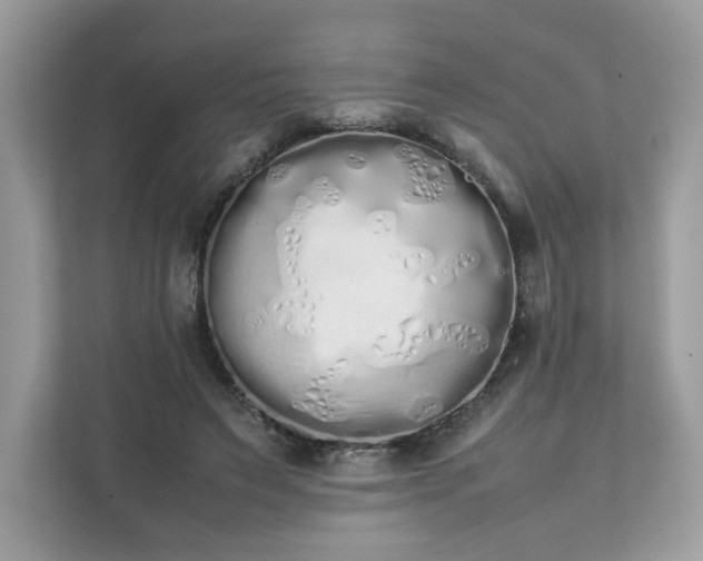 X0000111880495200907301140