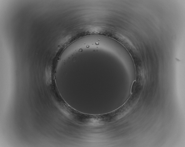 X0000111880496200907301140