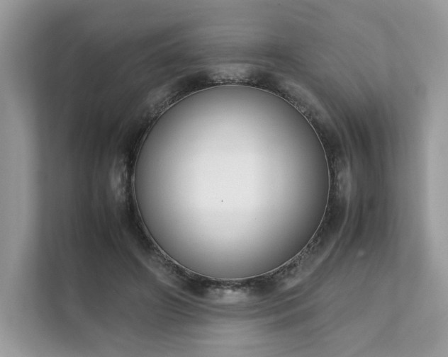 X0000111880498200907301140