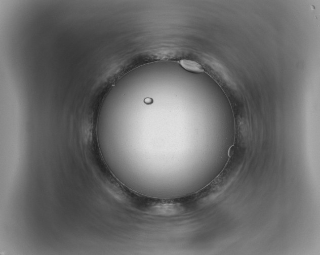 X0000111880499200907301140