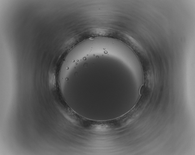 X0000111880500200907301140
