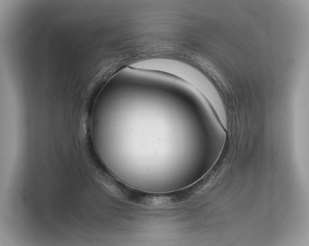X0000111880501200907301140