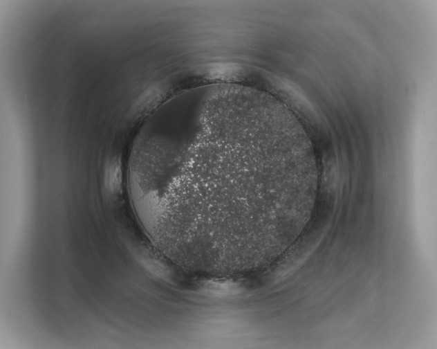 X0000111880502200907301140