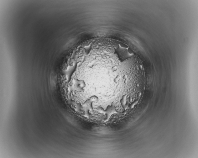 X0000111880503200907301140