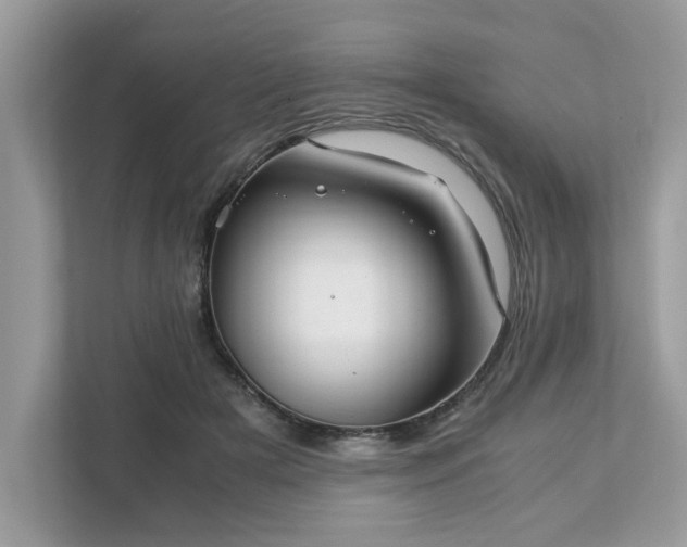 X0000111880505200907301140