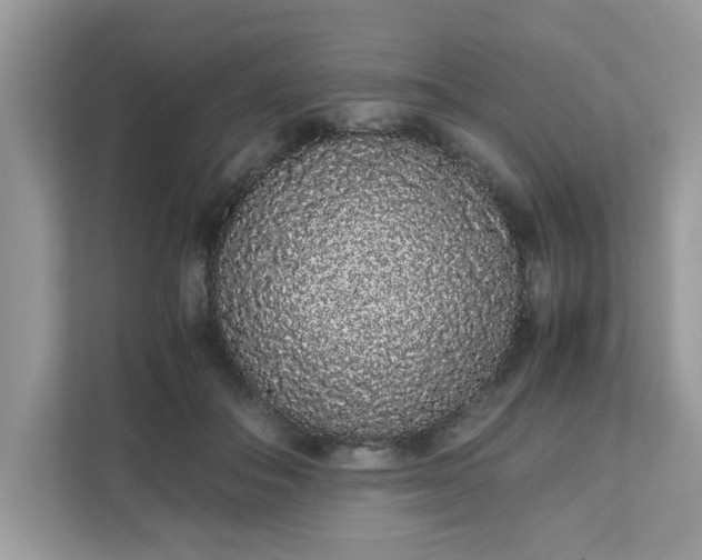 X0000111880506200907301140