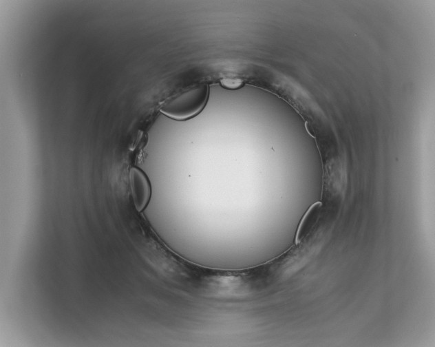 X0000111880509200907301140