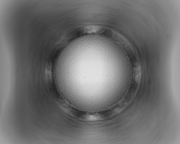 X0000111880510200907301140