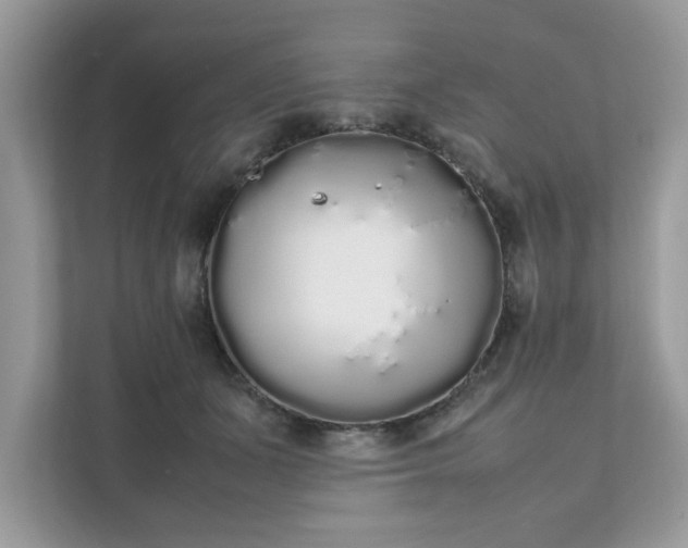 X0000111880511200907301140