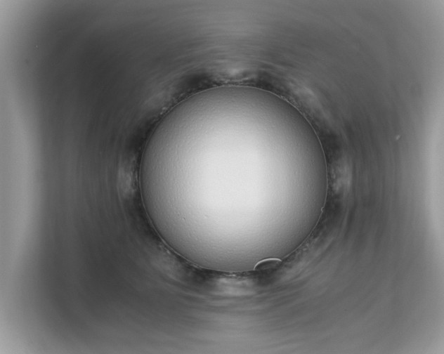X0000111880515200907301140