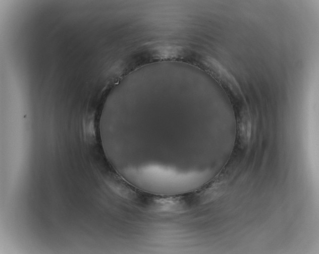 X0000111880516200907301140