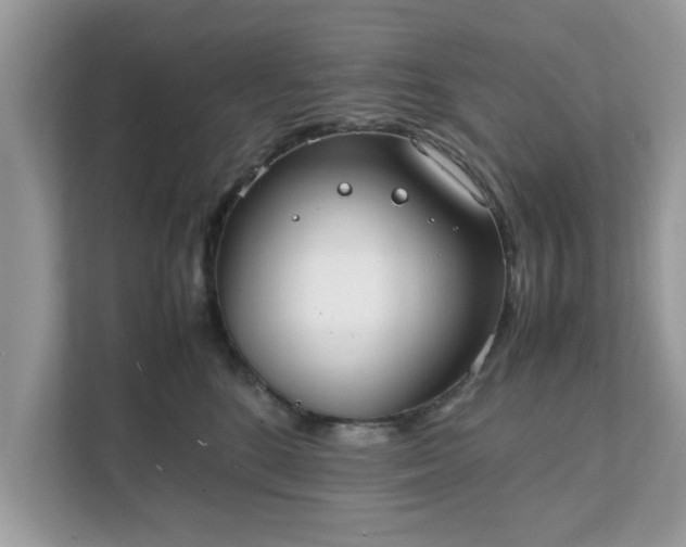 X0000111880520200907301139