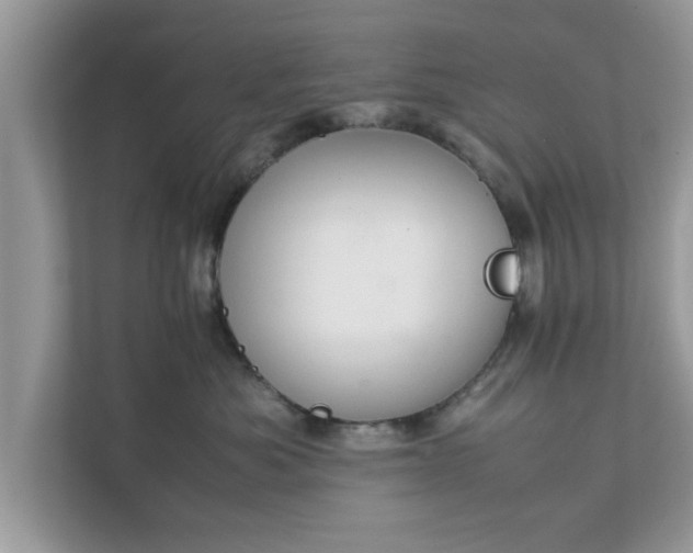 X0000111880525200907301139