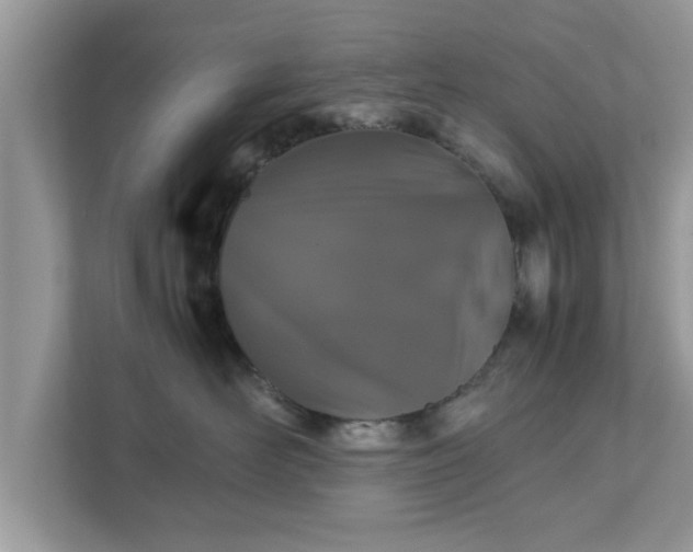X0000111880526200907301139