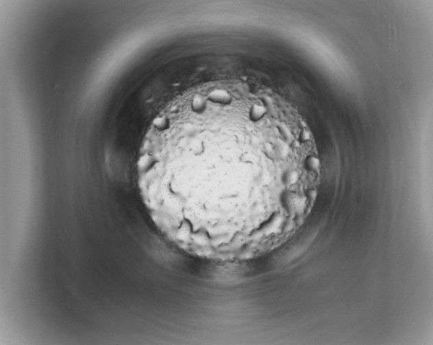 X0000111880527200907301139