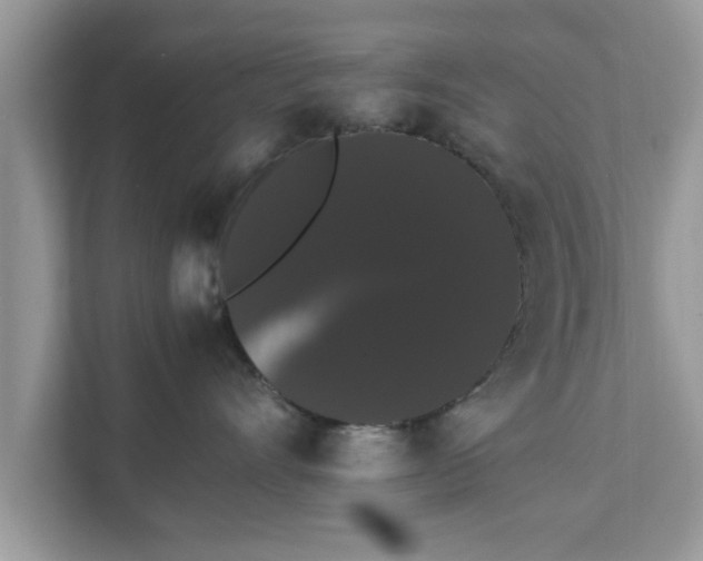X0000111880528200907301139
