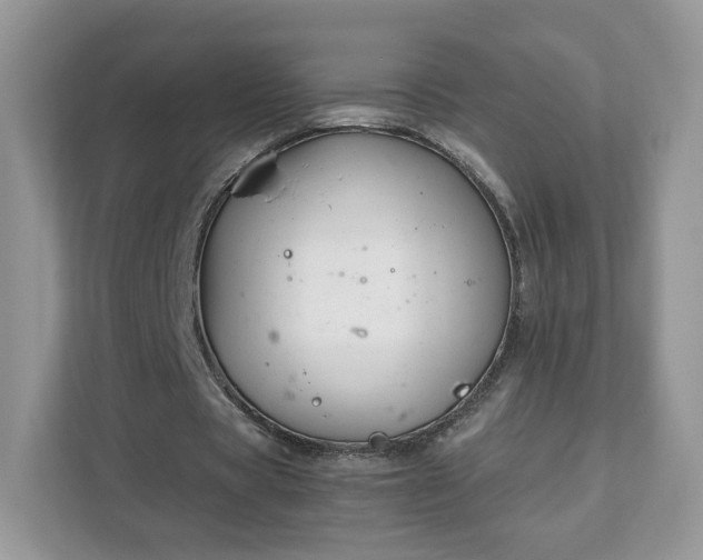 X0000111880529200907301139