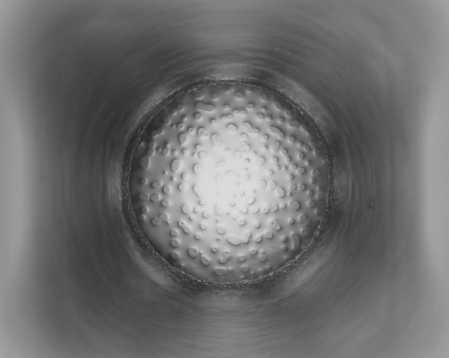 X0000111880530200907301139