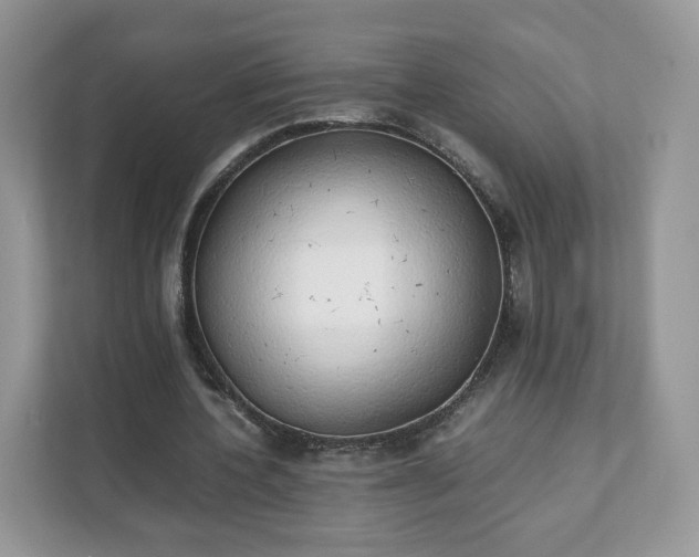 X0000111880532200907301139