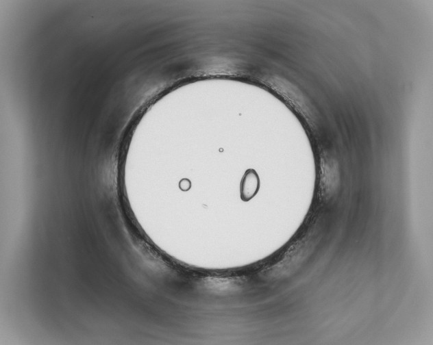X0000111880534200907301139