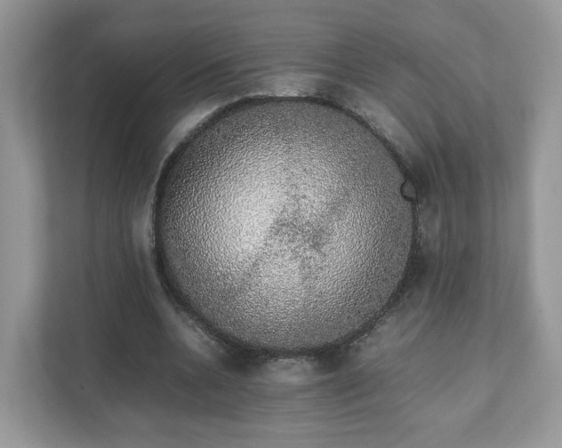 X0000111880536200907301139