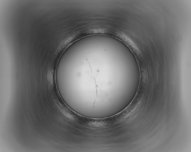X0000111880537200907301139