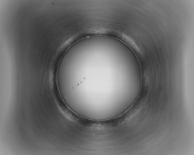 X0000111880538200907301139