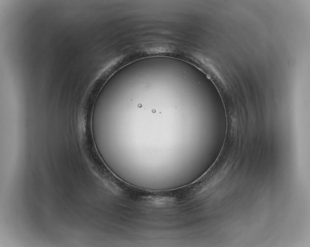 X0000111880539200907301139