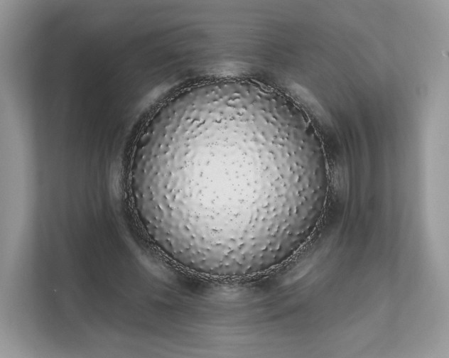 X0000111880540200907301139