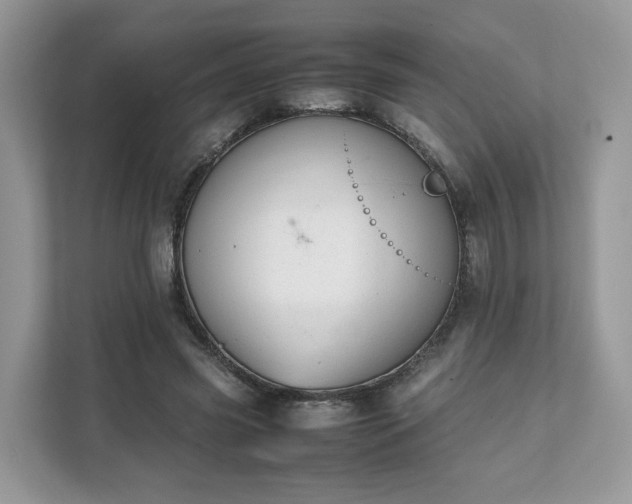 X0000111880541200907301139