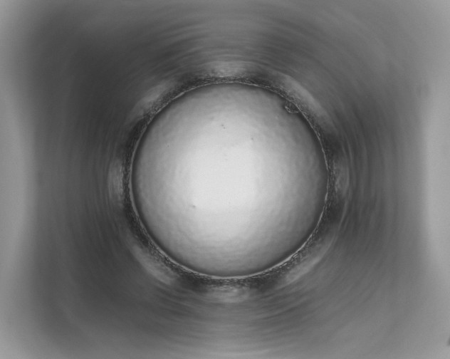 X0000111880542200907301139