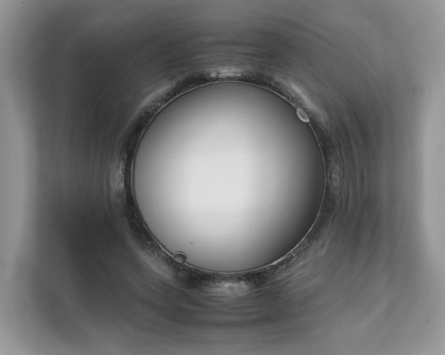 X0000111880543200907301139