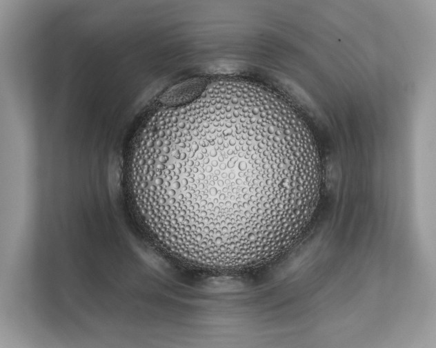 X0000111880544200907301139