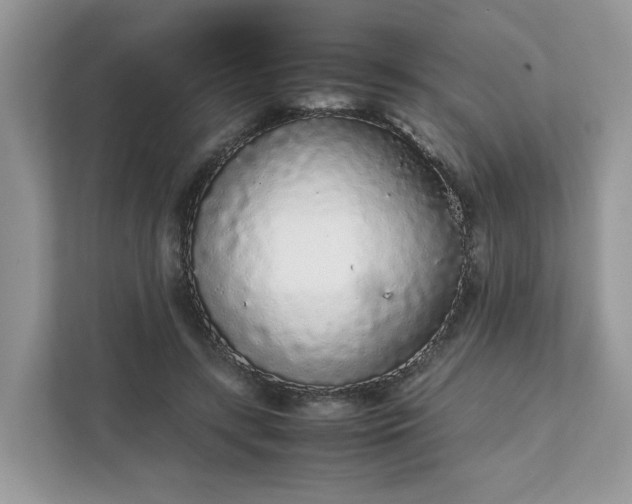 X0000111880547200907301139